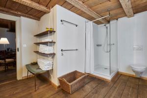 een badkamer met een douche en een toilet bij Fischerhäuser Romanshorn in Romanshorn