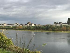 une vue sur une rivière avec des bâtiments en arrière-plan dans l'établissement Nid douillet bord de Loire, à Blois