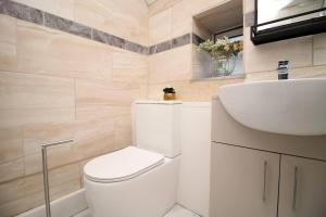 a bathroom with a toilet and a sink at Stunning 4 Bedroom Flat near City Centre in Swansea