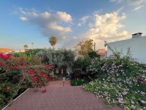 a garden with flowers and plants on a sidewalk at Betul Guest House in Famagusta