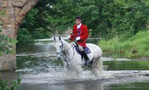 Horseback riding at a vendégházakat or nearby