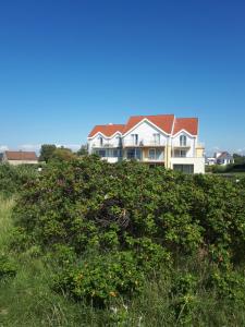 una casa detrás de un seto con un campo de flores en «  Le Sand-Wedge » appartement vue mer, en Wimereux