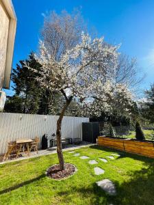 Vonkajšia záhrada v ubytovaní City Nest Eger