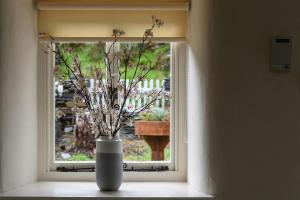 a vase with flowers in it sitting in a window at Ceunant Bach in Bethesda