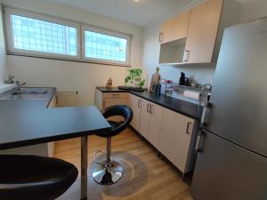 a kitchen with a table and a refrigerator at ZEN Apartment - spacious for 7 - central - kitchen in Offenbach