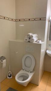 uma casa de banho com WC, lavatório e toalhas em Cosy apparemment em Lausanne