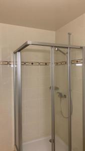 a shower with a glass door in a bathroom at Cosy apparemment in Lausanne