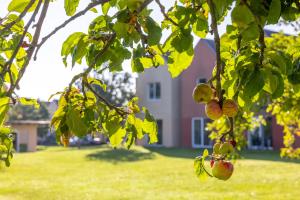 Billede fra billedgalleriet på Eurostrand Resort Moseltal i Leiwen