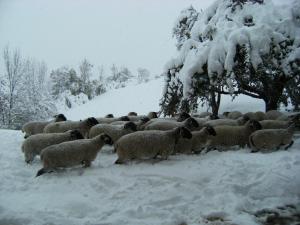 Agriturismo Maso Santa Libera during the winter