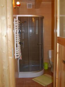 a shower with a glass door in a bathroom at Jacowa Chata in Istebna