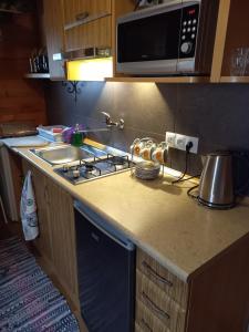 Kuchyňa alebo kuchynka v ubytovaní apartament simonka z jacuzzi zawoja