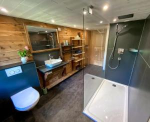 a bathroom with a toilet and a sink and a shower at Ferienhaus Chalet Simeli in Grindelwald
