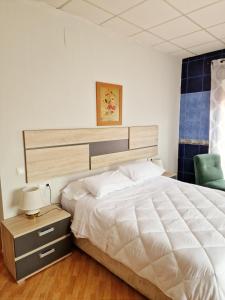 ein Schlafzimmer mit einem großen weißen Bett und einem Stuhl in der Unterkunft Hostal El Brillante - Alojamientos El Duque in Córdoba