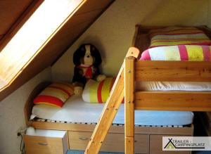 アモールバッハにあるFerienwohnung Landzettelの二段ベッド(下段に犬が座っている)
