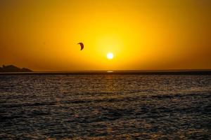 un cerf-volant survolant l'océan au coucher du soleil dans l'établissement Lagon energy dakhla, à Dakhla