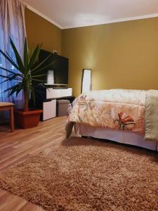 ein Schlafzimmer mit einem Bett, einem Teppich und einer Pflanze in der Unterkunft Cabaña Mi calma in Coquimbo