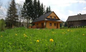 a house in the middle of a field of grass at Jacowa Chata in Istebna