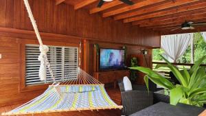 a hammock in a living room with a tv at Palm's Luxury Suite with Private Jacuzzi in Aguada
