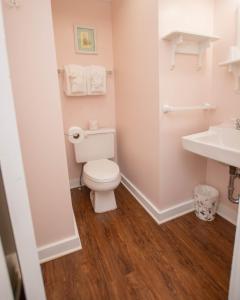 a bathroom with a toilet and a sink at Terrace Inn and 1911 Restaurant in Petoskey