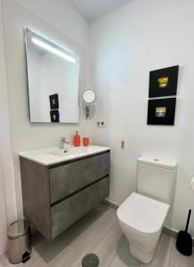 Castandiello的住宿－Angliru 1 Suite，一间带水槽、卫生间和镜子的浴室