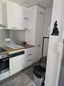 Kuchyňa alebo kuchynka v ubytovaní Mireio Arles centre climatisé 1 à 6 personnes Appartement