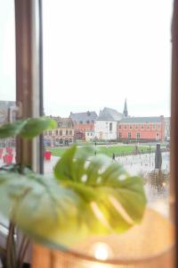 a plant sitting on a table in front of a window at Superbe appartement - Coeur du Vieux-Lille in Lille