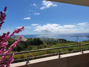 תמונה מהגלריה של Charmant F2 à SkyNui, piscine de 25m et vue mer בפפאטה
