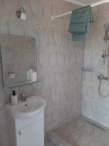 a bathroom with a sink and a mirror and a shower at Pensiunea Blue House in Vadu