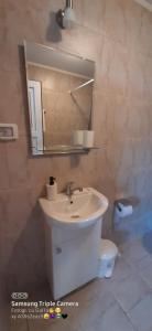 a bathroom with a sink and a mirror and a toilet at Pensiunea Blue House in Vadu