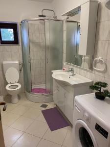 Koupelna v ubytování Apartman Nina