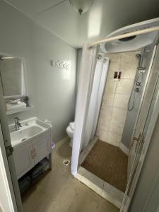 ein Bad mit einer Dusche und einem Waschbecken in der Unterkunft Las Casitas de Village in Carolina