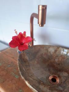 eine rote Blume auf einem Waschbecken in der Unterkunft Saudade da Bahia in Moreré