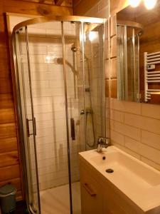 W łazience znajduje się prysznic i umywalka. w obiekcie Appart 50m2 4 à 5 pers dans Chalet de charme w mieście Vimines