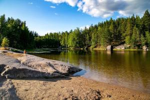 a person standing on the shore of a river at Hogland Apartments - 2 in Kotka
