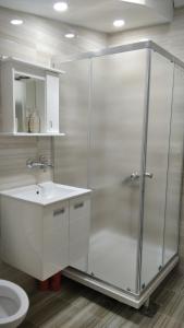 uma casa de banho com um chuveiro, um lavatório e um WC. em Apartman 4 - Studio Janja em Sokobanja