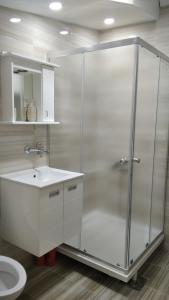 a bathroom with a shower with a sink and a toilet at Apartman 4 - Studio Janja in Soko Banja