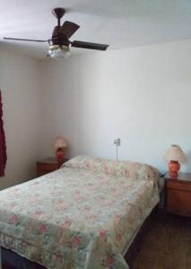 1 dormitorio con 1 cama y ventilador de techo en Casa amplia y comoda Godoy Cruz en Godoy Cruz