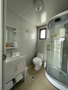カロリーナにあるLas Casitas de Villageのバスルーム(トイレ、洗面台、シャワー付)