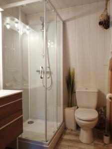 uma casa de banho com um WC e uma cabina de duche em vidro. em Le Kouloury em Meyronne