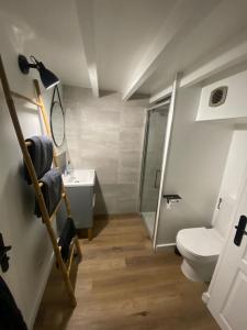 La salle de bains est pourvue de toilettes, d'un lavabo et d'une douche. dans l'établissement Studio côté cour, à Antibes