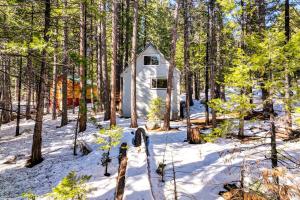 a tiny house in the woods in the snow at California Cabin Rental - Hike, Ski, Boat! in Long Barn