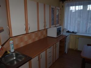 Pokoje Gościnne Żak في زاكوباني: مطبخ مع حوض وميكروويف