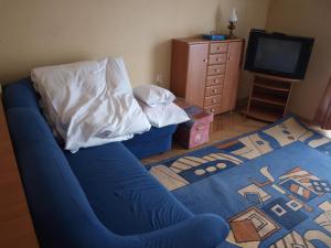 Pokoje Gościnne Żak في زاكوباني: غرفة معيشة مع أريكة زرقاء وتلفزيون