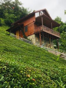 dom na szczycie trawiastego wzgórza w obiekcie Vadi dağ evi bungalov w mieście Çamlıhemşin