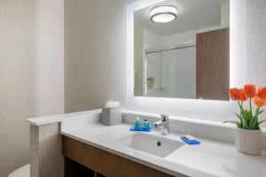 a bathroom with a sink and a mirror at Holiday Inn Express & Suites - Moundsville, an IHG Hotel in Moundsville