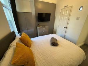 Ένα ή περισσότερα κρεβάτια σε δωμάτιο στο The Dacy - By Chaps