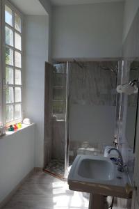 a bathroom with a shower and a sink at Gîtes du château de la Motte in Joué-du-Plain +34 photos