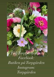 Fotografie z fotogalerie ubytování Torpgården Önnerudsvägen 56 v destinaci Torsby