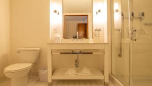 Baðherbergi á Holiday Inn Express Columbus Airport Easton