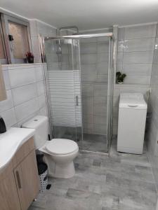 La salle de bains est pourvue de toilettes et d'une douche en verre. dans l'établissement KARMA's HOME BY DIMITROPOULOS Thermopilon street, à Aigio